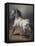 A Study of a Horse (Oil on Canvas)-Theodore Gericault-Framed Premier Image Canvas