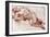 A Study of a Nude, 1913-John Everett Millais-Framed Giclee Print