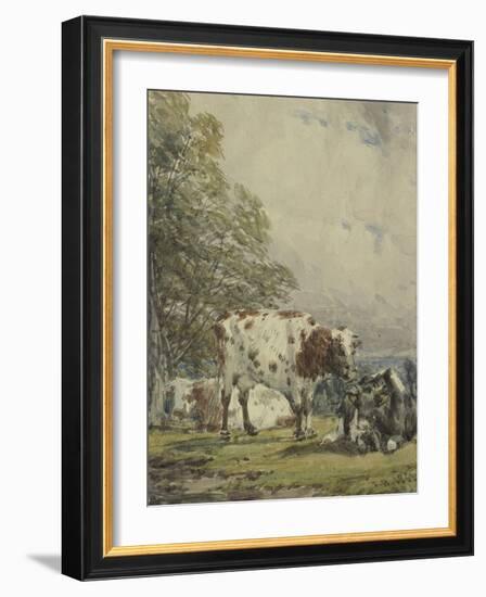 A Study of Cattle, 19Th Century-Thomas Baker-Framed Giclee Print