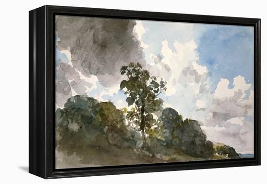A Study of Clouds and Trees-John Constable-Framed Stretched Canvas