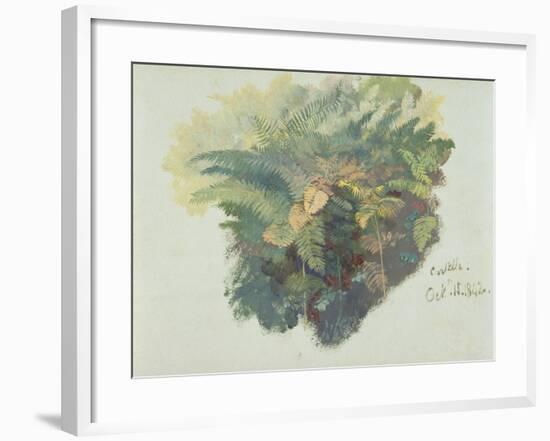 A Study of Ferns, Citivella, 1842, (Oil on Gray Wove Paper)-Edward Lear-Framed Giclee Print