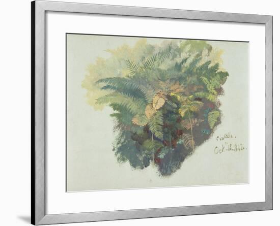 A Study of Ferns, Citivella, 1842, (Oil on Gray Wove Paper)-Edward Lear-Framed Giclee Print