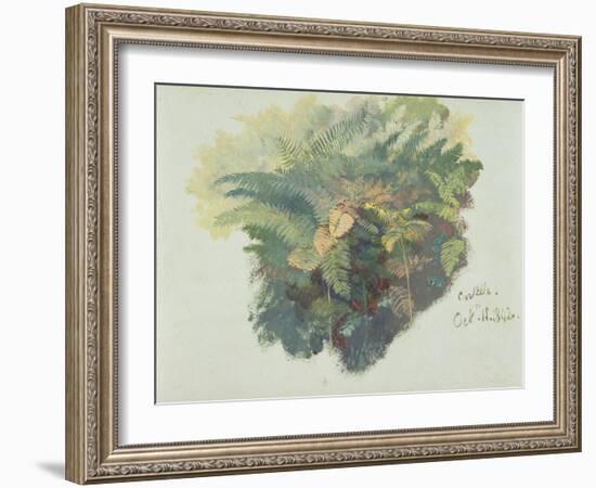 A Study of Ferns, Citivella, 1842, (Oil on Gray Wove Paper)-Edward Lear-Framed Giclee Print