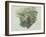 A Study of Ferns, Citivella, 1842, (Oil on Gray Wove Paper)-Edward Lear-Framed Giclee Print