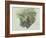 A Study of Ferns, Citivella, 1842, (Oil on Gray Wove Paper)-Edward Lear-Framed Giclee Print