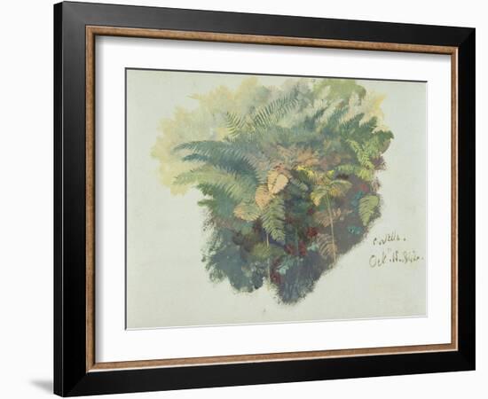 A Study of Ferns, Citivella, 1842, (Oil on Gray Wove Paper)-Edward Lear-Framed Giclee Print