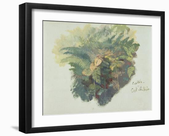 A Study of Ferns, Citivella, 1842, (Oil on Gray Wove Paper)-Edward Lear-Framed Giclee Print