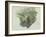 A Study of Ferns, Citivella, 1842, (Oil on Gray Wove Paper)-Edward Lear-Framed Giclee Print