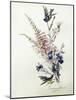 A Study of Heather, Cornflower, and Blossom-Madeleine Lemaire-Mounted Giclee Print