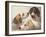 A Study of Hounds-Edward Robert Smythe-Framed Giclee Print