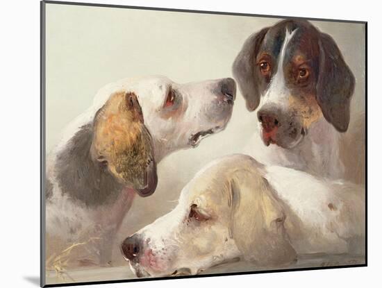 A Study of Hounds-Edward Robert Smythe-Mounted Giclee Print