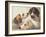 A Study of Hounds-Edward Robert Smythe-Framed Giclee Print