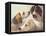 A Study of Hounds-Edward Robert Smythe-Framed Premier Image Canvas