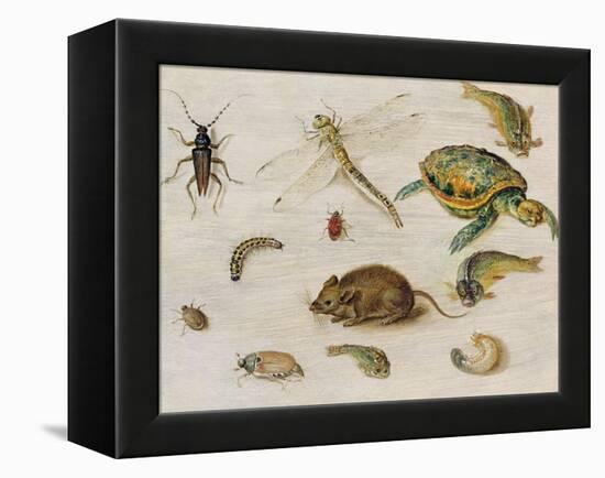 A Study of Insects, Sea Creatures and a Mouse-Jan Brueghel the Younger-Framed Premier Image Canvas