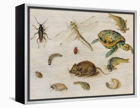 A Study of Insects, Sea Creatures and a Mouse-Jan Brueghel the Younger-Framed Premier Image Canvas