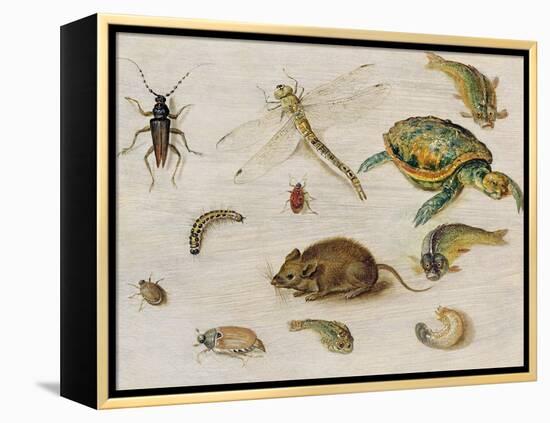 A Study of Insects, Sea Creatures and a Mouse-Jan Brueghel the Younger-Framed Premier Image Canvas