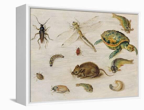 A Study of Insects, Sea Creatures and a Mouse-Jan Brueghel the Younger-Framed Premier Image Canvas