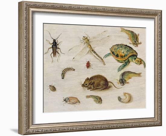 A Study of Insects, Sea Creatures and a Mouse-Jan Brueghel the Younger-Framed Giclee Print