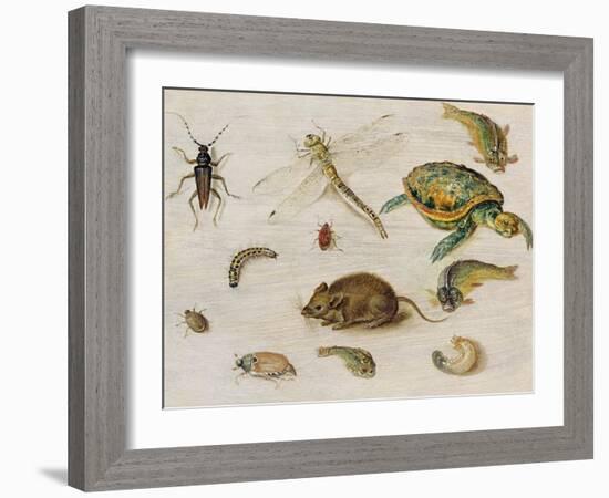 A Study of Insects, Sea Creatures and a Mouse-Jan Brueghel the Younger-Framed Giclee Print