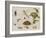 A Study of Insects, Sea Creatures and a Mouse-Jan Brueghel the Younger-Framed Giclee Print