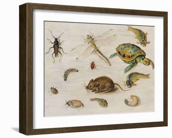 A Study of Insects, Sea Creatures and a Mouse-Jan Brueghel the Younger-Framed Giclee Print