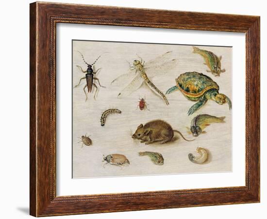 A Study of Insects, Sea Creatures and a Mouse-Jan Brueghel the Younger-Framed Giclee Print