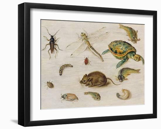 A Study of Insects, Sea Creatures and a Mouse-Jan Brueghel the Younger-Framed Giclee Print