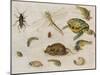 A Study of Insects, Sea Creatures and a Mouse-Jan Brueghel the Younger-Mounted Giclee Print