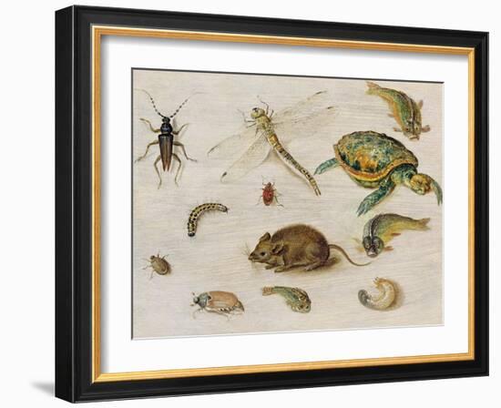 A Study of Insects, Sea Creatures and a Mouse-Jan Brueghel the Younger-Framed Giclee Print