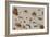 A Study of Insects-Jan Brueghel the Younger-Framed Giclee Print