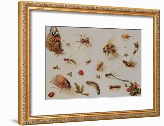 A Study of Insects-Jan Brueghel the Younger-Framed Giclee Print