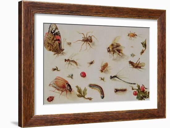 A Study of Insects-Jan Brueghel the Younger-Framed Giclee Print