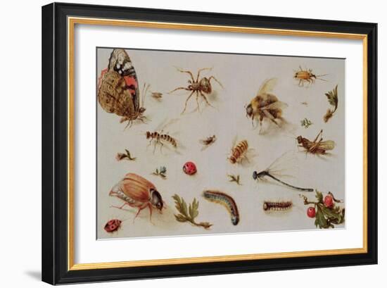 A Study of Insects-Jan Brueghel the Younger-Framed Giclee Print