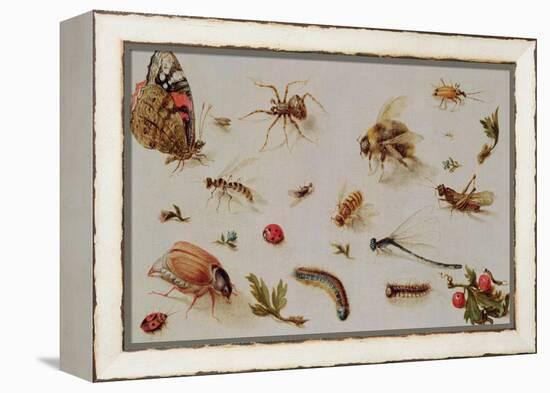 A Study of Insects-Jan Brueghel the Younger-Framed Premier Image Canvas