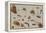 A Study of Insects-Jan Brueghel the Younger-Framed Premier Image Canvas
