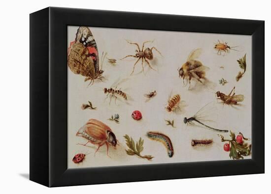 A Study of Insects-Jan Brueghel the Younger-Framed Premier Image Canvas