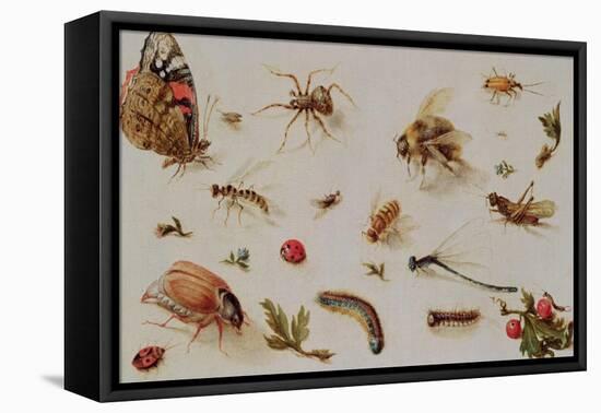 A Study of Insects-Jan Brueghel the Younger-Framed Premier Image Canvas