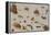 A Study of Insects-Jan Brueghel the Younger-Framed Premier Image Canvas