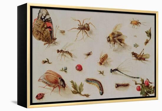 A Study of Insects-Jan Brueghel the Younger-Framed Premier Image Canvas