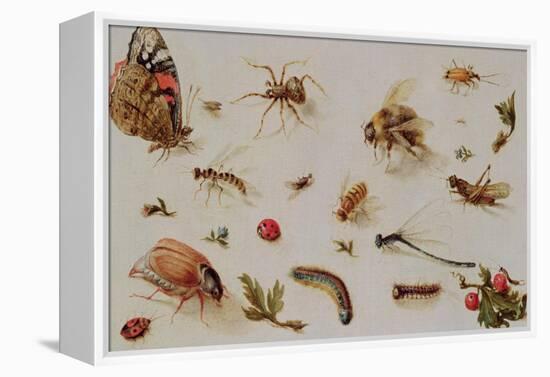 A Study of Insects-Jan Brueghel the Younger-Framed Premier Image Canvas