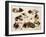 A Study of Kittens-Henriette Ronner-Knip-Framed Giclee Print