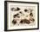 A Study of Kittens-Henriette Ronner-Knip-Framed Giclee Print