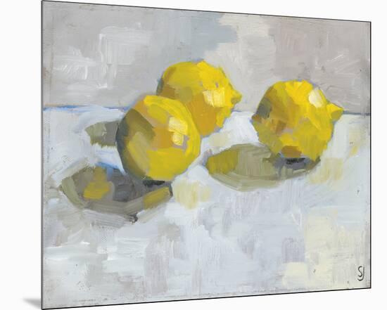 A Study of Lemons-Steven Johnson-Mounted Giclee Print