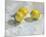 A Study of Lemons-Steven Johnson-Mounted Giclee Print