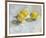 A Study of Lemons-Steven Johnson-Framed Giclee Print