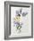 A Study of Lilac and Roses-Madeleine Lemaire-Framed Photographic Print