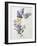 A Study of Lilac and Roses-Madeleine Lemaire-Framed Photographic Print