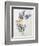 A Study of Lilac and Roses-Madeleine Lemaire-Framed Photographic Print