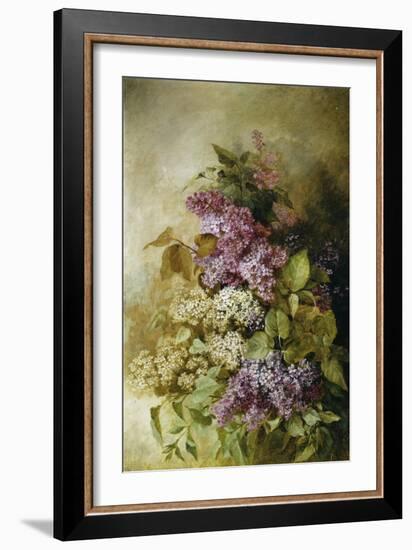 A Study of Lilac-Claude Massmann-Framed Giclee Print