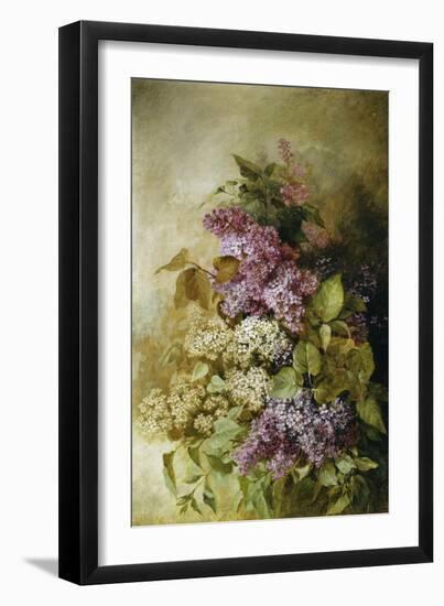 A Study of Lilac-Claude Massmann-Framed Giclee Print